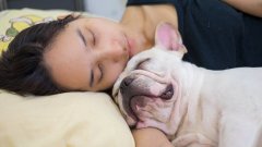 C’est officiel : les femmes dorment mieux avec leur chien qu'avec un homme