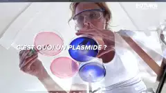 1 minute pour comprendre le plasmide | Futura