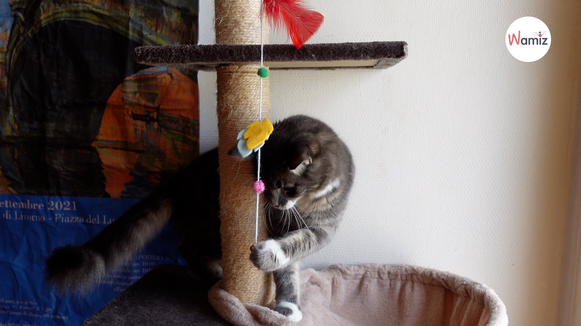DIY: How to make a multiple-level fishing rod for cats
