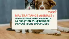 Maltraitance animale : le gouvernement annonce la création d’une brigade d’enquêteurs spécialisés