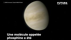 A-t-on découvert des traces de vie sur Vénus ? | Futura