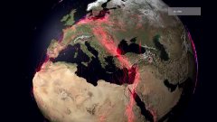 Un an de migrations animales sur la planète : étonnant...