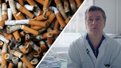 Interview : le tabac responsable d’au moins 17 types de cancers