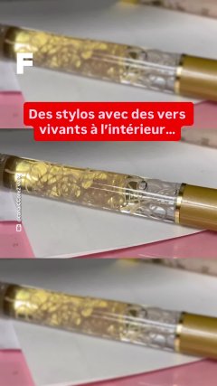 Planète - Vidéos Futura - Intemporelles