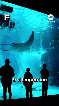 Planète - Vidéos Futura - Intemporelles