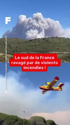 Planète - Vidéos Futura - Temporelles