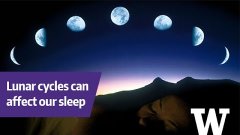 Comment les phases de la lune peuvent affecter votre sommeil | Futura