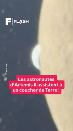 Sciences Vidéos Futura - Temporelles