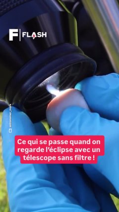 Sciences Vidéos Futura - Temporelles