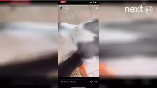 Ayem Nour : Mère célibataire débordée et au bout du rouleau ? Elle passe un message fort sur Instagram !