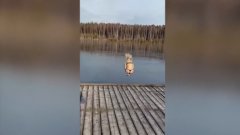 Une femme saute dans un lac gelé, ça tourne mal