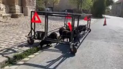 Des moutons en cage mobile tondent les trottoirs et bords de route