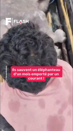 Planète - Vidéos Futura - Temporelles