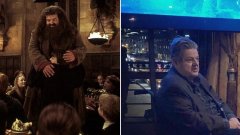 Harry Potter : l'acteur qui jouait Hagrid, se déplace en fauteuil roulant suite à une maladie