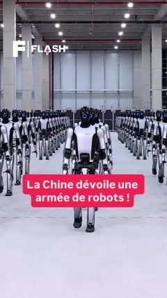 Tech - Vidéos Futura - Temporelles