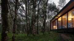 A-t-on le droit de construire une maison en pleine forêt ?