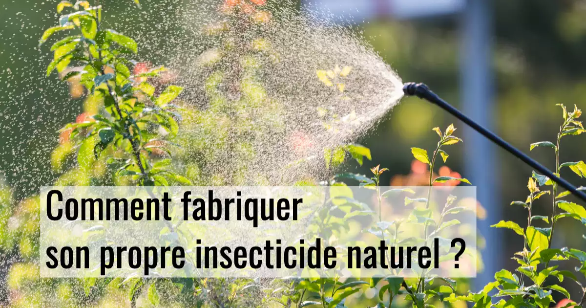 Insecticide naturel : 10 recettes simples à fabriquer maison