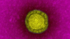 En vidéo : ce que l'on sait du coronavirus qui se propage en Chine