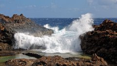 Le niveau de la mer pourrait monter de presque un mètre d’ici 2100