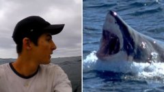 Dans son kayak, il se fait poursuivre et attaquer par un énorme requin blanc