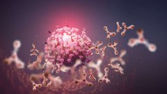 Coronavirus mutant : 5 réponses aux questions que tout le monde se pose