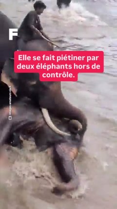 Planète - Vidéos Futura - Temporelles
