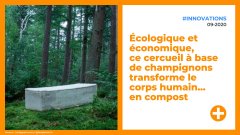 Écolo et économique, ce cercueil 100 % naturel à base de champignons transforme le corps… en compost