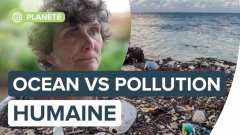 L'Océan en danger face à l'exploitation et la pollution humaine