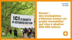 Rouen : des écologistes s’élèvent contre un projet immobilier qui vise à abattre 500000 arbres