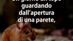 La vita punisce sempre gli egoisti