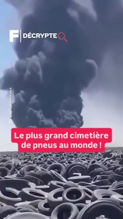 Planète - Vidéos Futura - Intemporelles