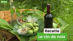 Recette faire soi-même son vin de noix