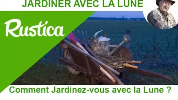 Jardiner avec la Lune du 1 Février 2024 au 7 Février 2024