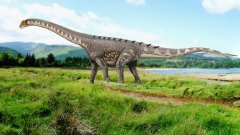 Titanosaure : le plus grand dinosaure du monde s’expose en time-laspe