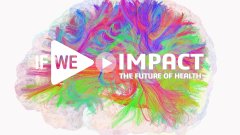 If We Impact The Future : Neuroscience - Futura