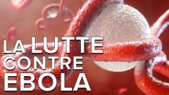 Interview : la lutte contre Ebola continue dans les laboratoires