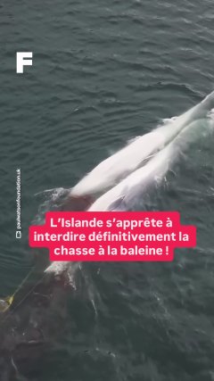 Planète - Vidéos Futura - Temporelles