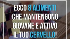 8 alimenti preziosi per il benessere del cervello