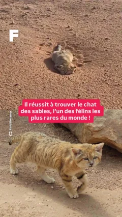 Planète - Vidéos Futura - Temporelles