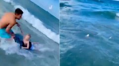 Cet officier a sauvé un jeune garçon de l’attaque d’un requin ! La vidéo qui fait froid dans le dos !