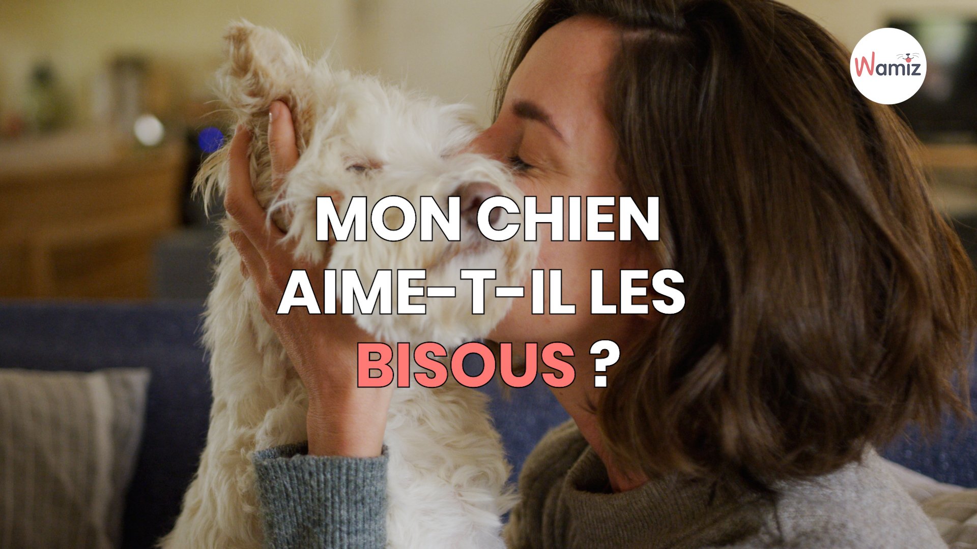 Mon chien aime-t-il les bisous ?