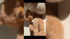 Maddy Burciaga et Benji Samat : On connaît le sexe de leur bébé !