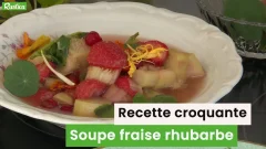 Recette croquante, soupe froide rubarbe fraise et groseille