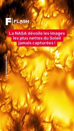 Sciences - Vidéos Futura - Intemporelles