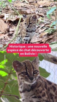 Planète - Vidéos Futura - Temporelles