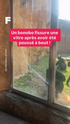 Planète - Vidéos Futura - Temporelles