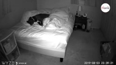 Elle installe une caméra dans sa chambre : ce qui se passe la nuit la laisse sans voix
