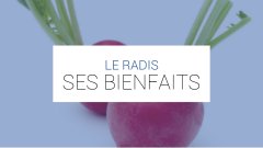 Le radis