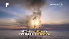 DASSAULT_SYSTEMES_NETZERO