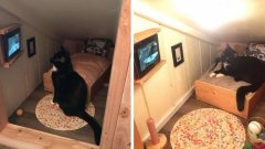Un homme transforme l'espace derrière un mur de sa maison en chambre miniature pour son chat